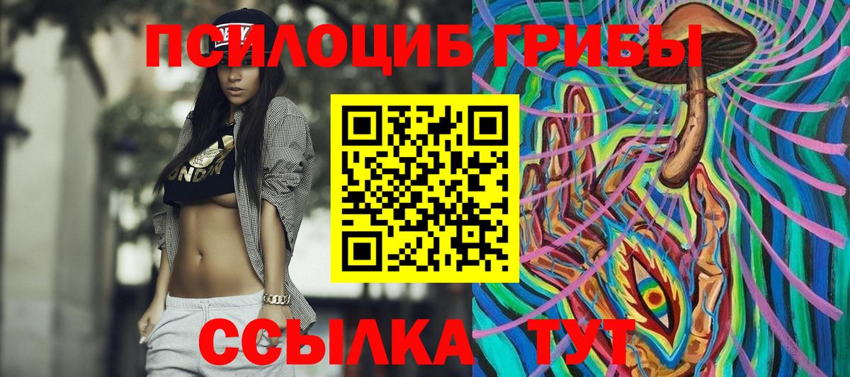 Галлюциногенные грибы Psilocybine cubensis  Вход с VPN  Звенигород 